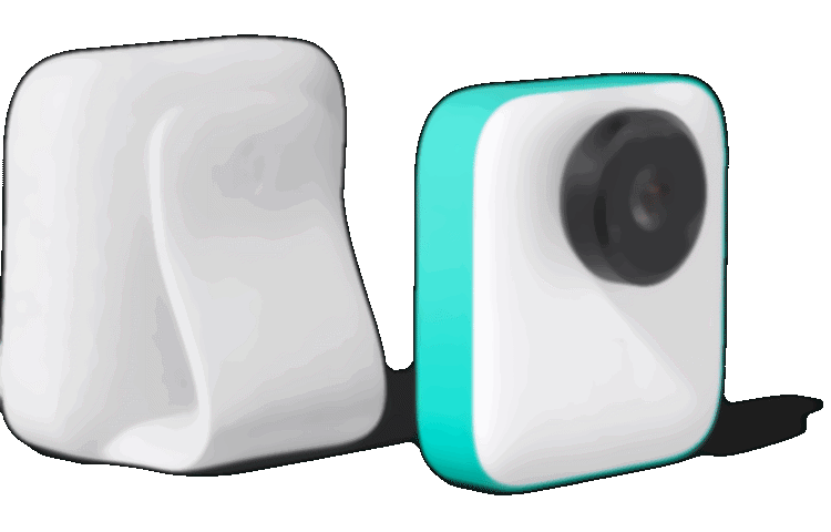 Nest Home